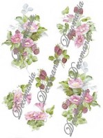 campanelle_g-006