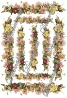 rose_lunghe_35x50