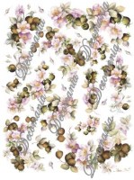 roselline_nespole_p1