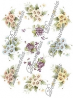viole_p-002bis
